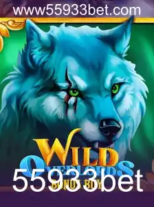 Explorando o Universo de WildOverlordsBonusBuy